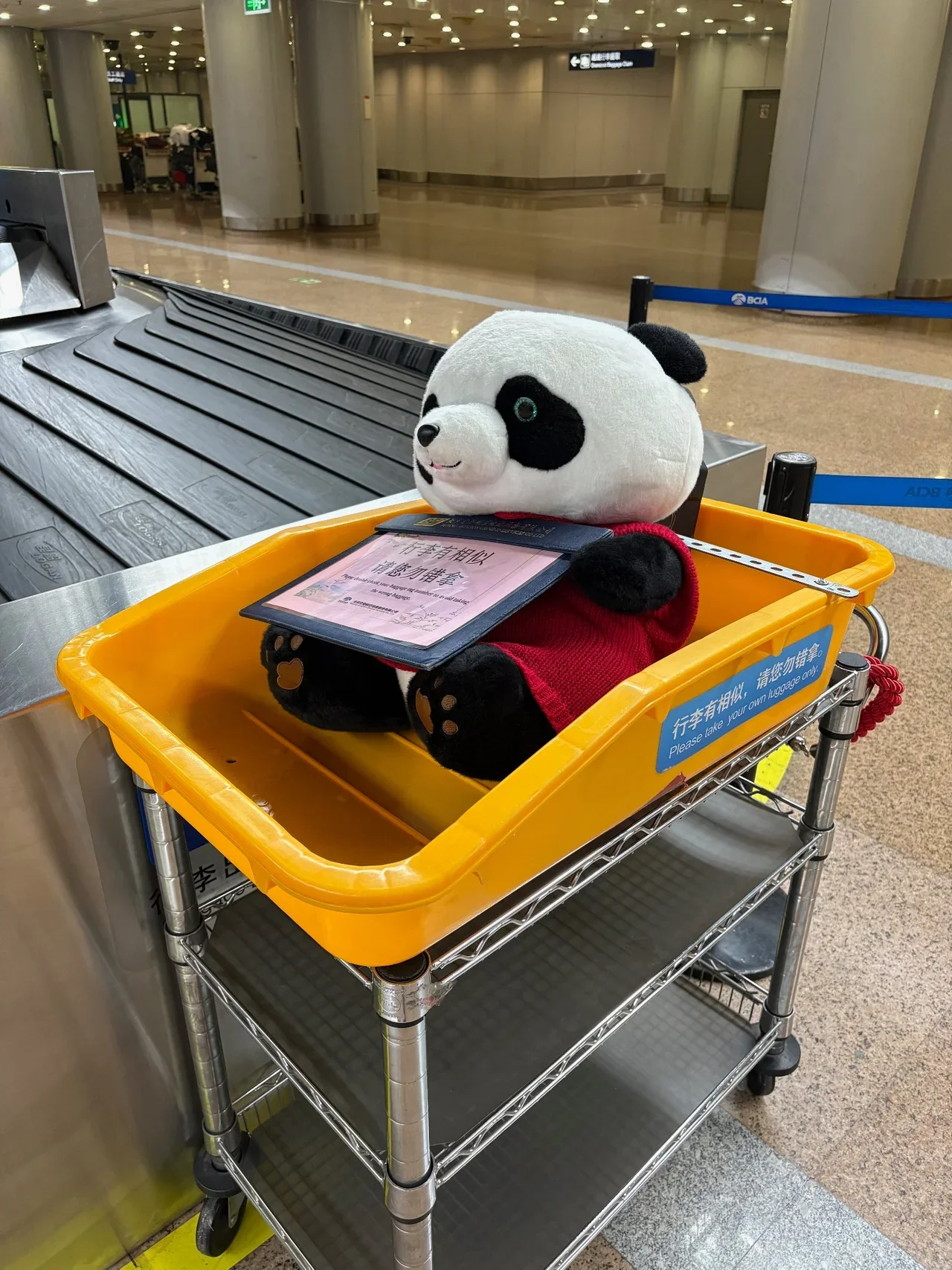 Пекин, панда на приёме багажа